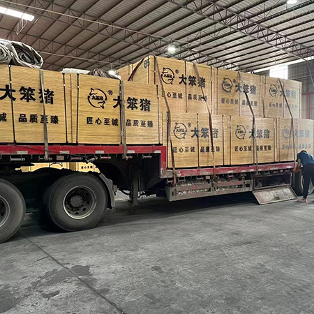 9層14厚建筑模板發四川